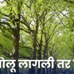 झाडे बोलू लागली तर निबंध: Jhade Bolu Lagli Tar Nibandh in Marathi