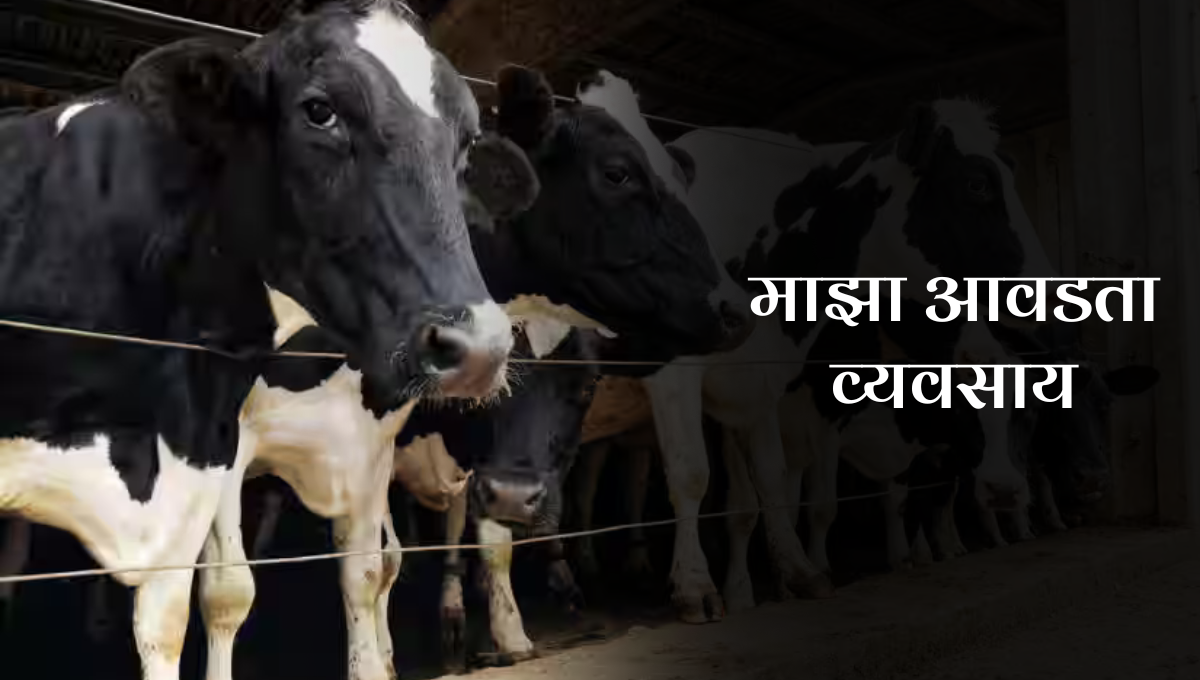 Maza Avadta Vyavsay Dudh Marathi Nibandh: माझा आवडता व्यवसाय दूध